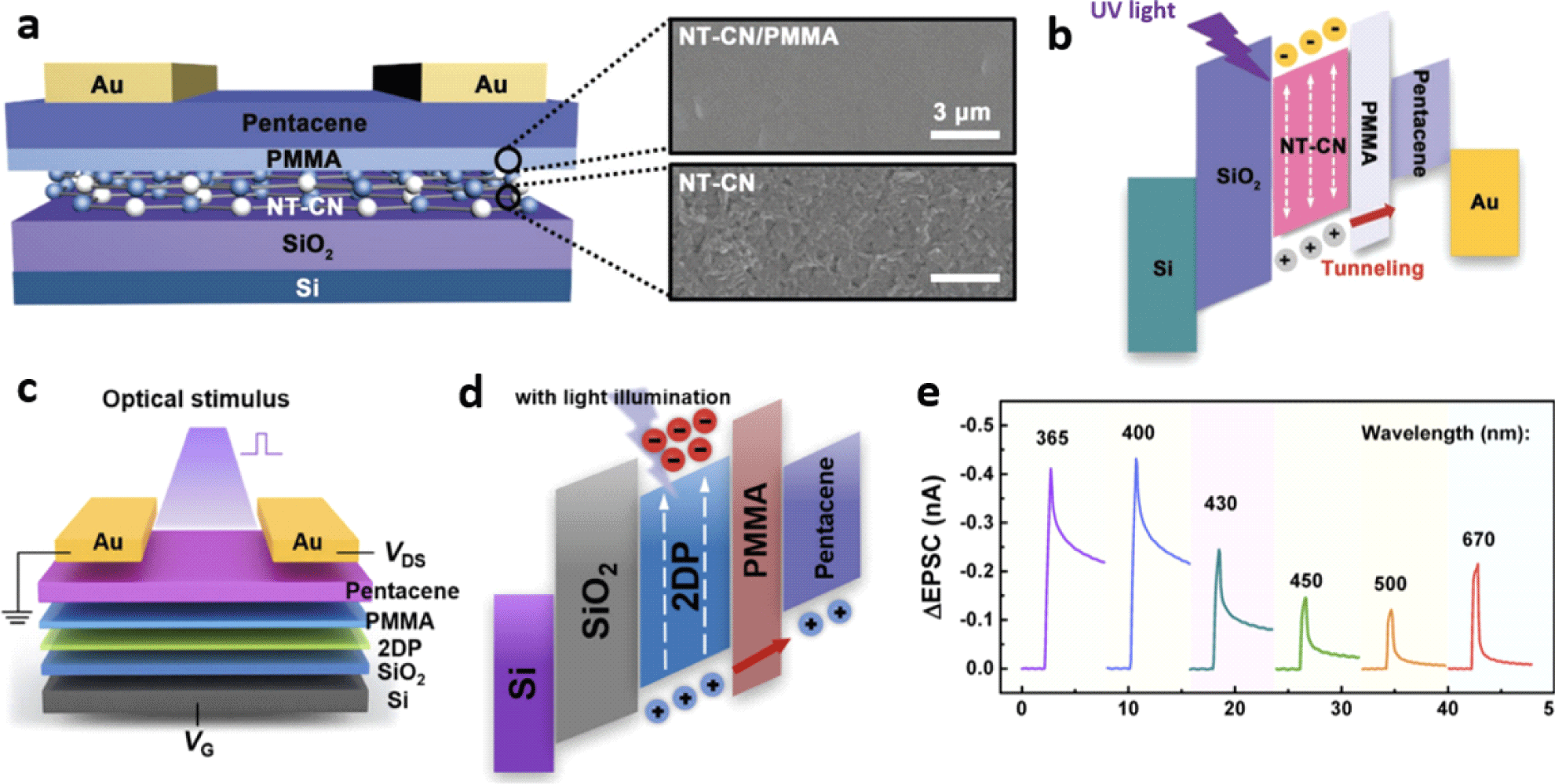 Polyvinylalcohol (PVA)-Assisted Exfoliation of ReS2 Nanosheets and the Use  of ReS2–PVA Composites for Transparent Memristive Photosynapse Devices
